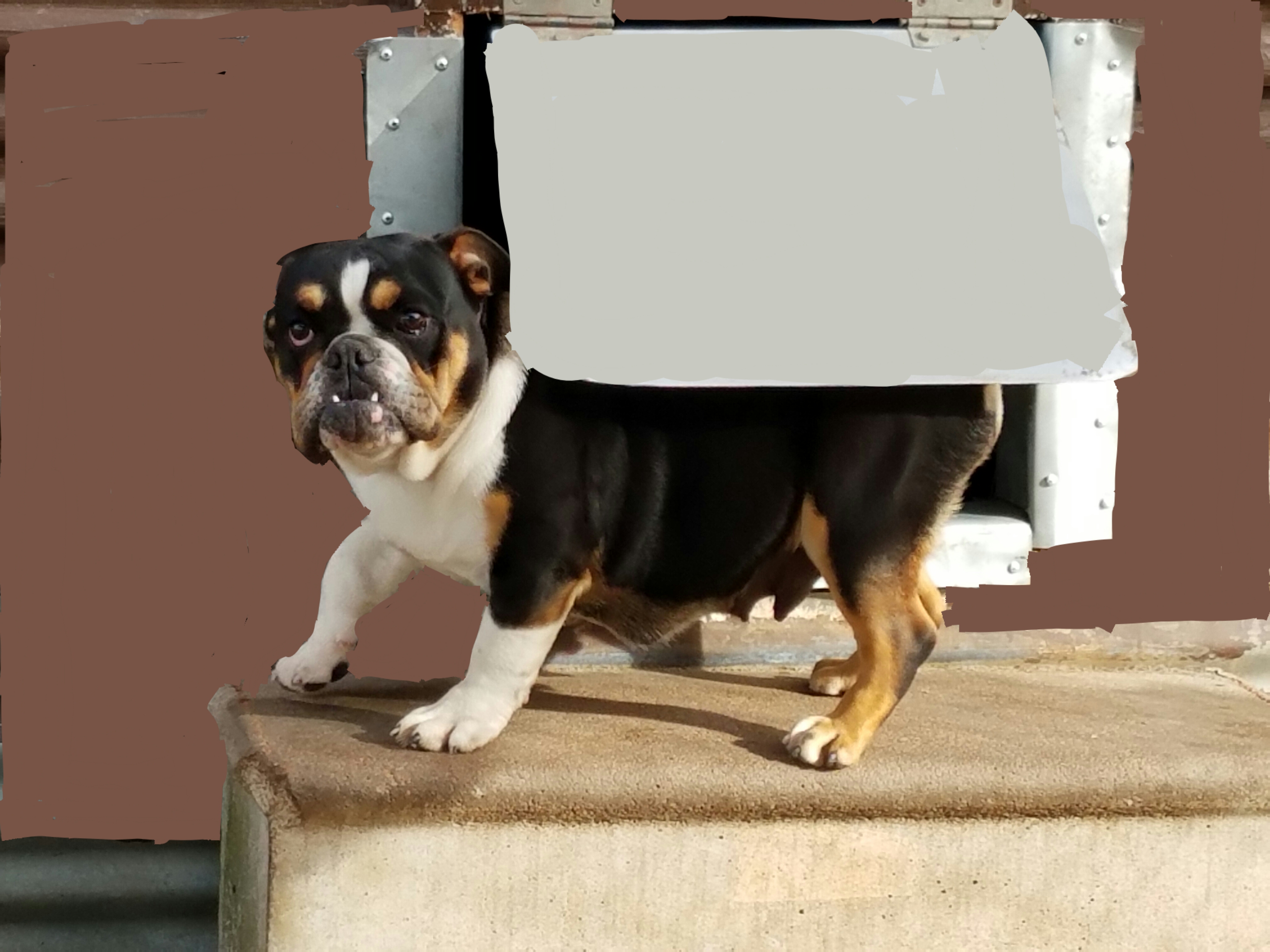 20170145852.jpg