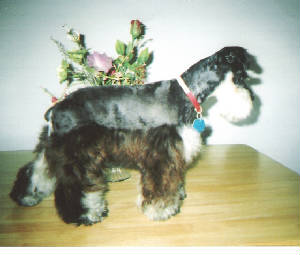 imag00.jpg
